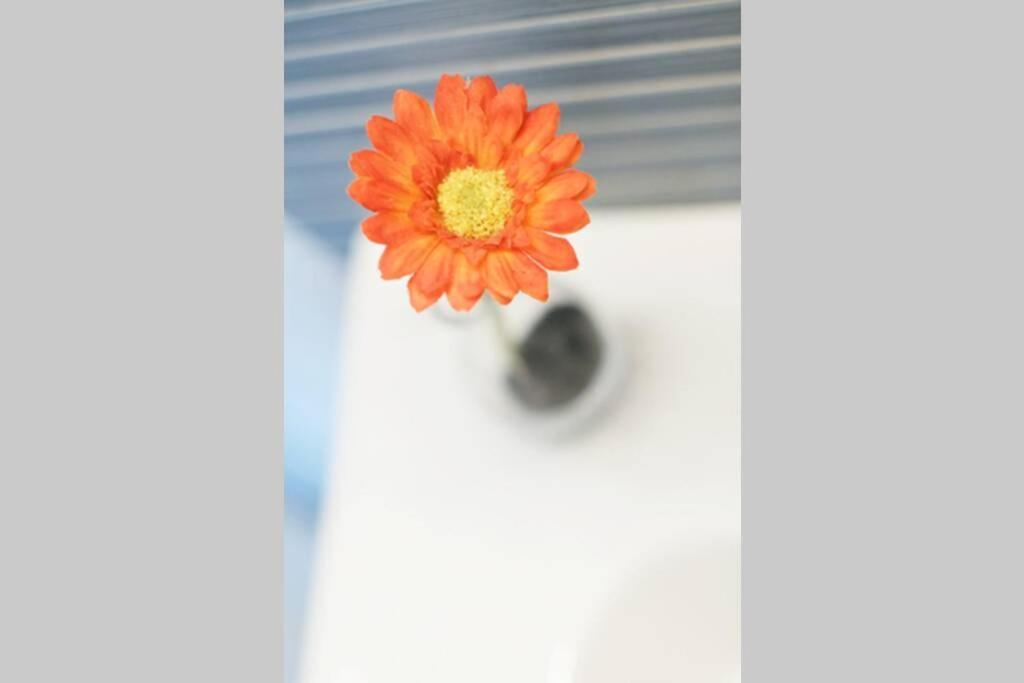 Apartamento Diseno A Cien Metros Del Mar. تورّيذيمْبَرّا المظهر الخارجي الصورة